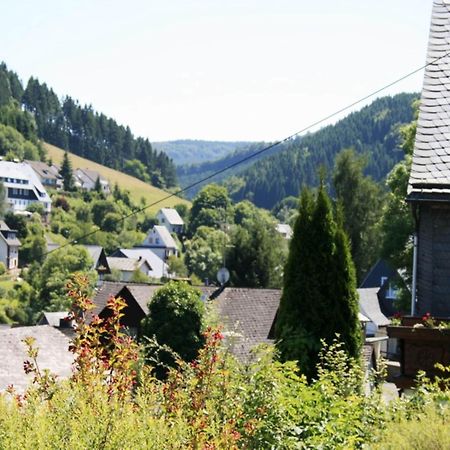 Large Holiday Home In Willingen With Private Garden And Several Terraces Exterior photo