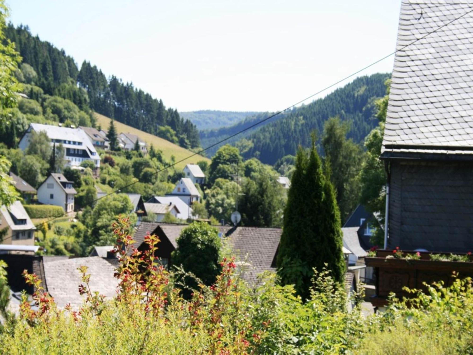 Large Holiday Home In Willingen With Private Garden And Several Terraces Exterior photo