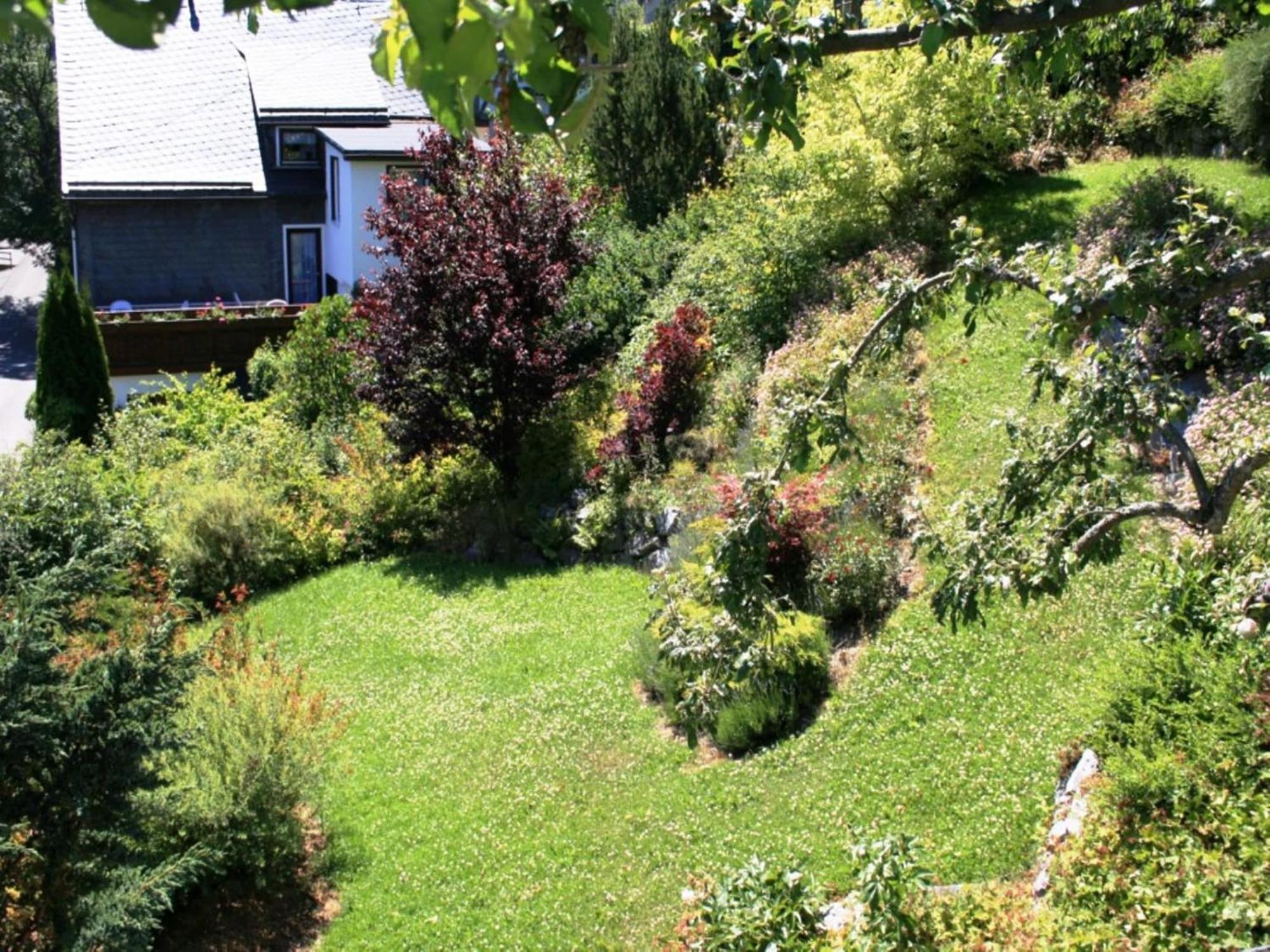 Large Holiday Home In Willingen With Private Garden And Several Terraces Exterior photo
