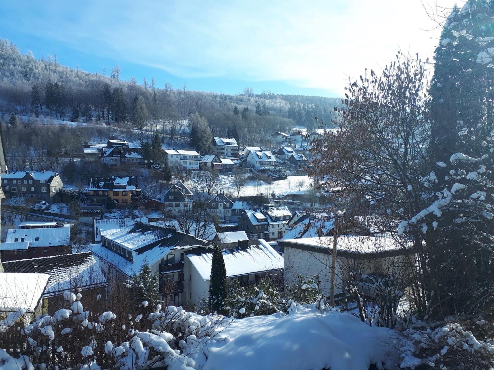 Large Holiday Home In Willingen With Private Garden And Several Terraces Exterior photo
